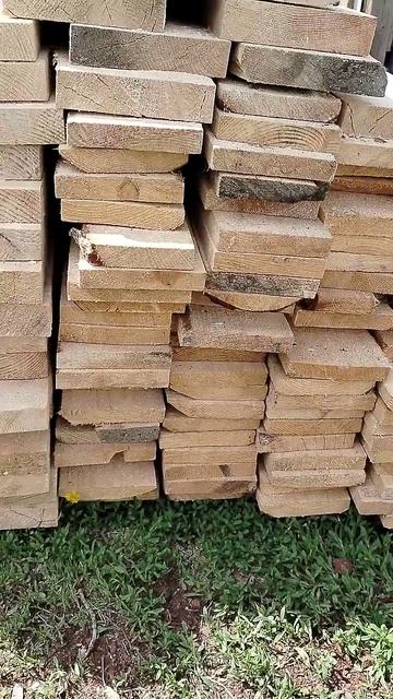 Раздача неплодных маточек в  нуклеусы мини+#обзор #топ #подпишись#пасека #пчеломатки #мёд #шортс#Бог