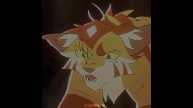 огнезвёзд коты воители