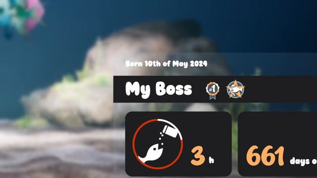 Трейлер Drawquarium (демо)