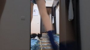 вечерний тыгы дык тык тык