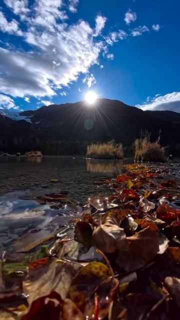 #katyboro #видеооткрытка      #рекомендации #врек #топ #врекомендации