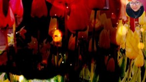 Звуки мурчания Кошки Бусинки #2/ АСМР Слушать звуки для сна, расслабления и медитации.