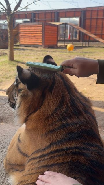 А кто сегодня маленький именинник?❤️