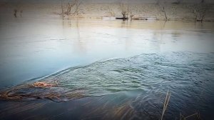 Вода, вода