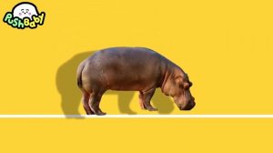 Watch'em Fall  Carmen  PushBaby Official