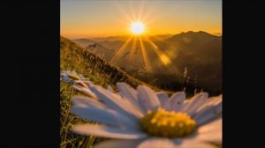 И ЭТО ПРОЙДЁТ…эфир от 18 апреля 2026 года...