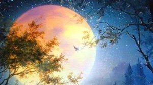 Рекомендации по солнечным и лунным дням на 19 20 21 апреля 2026г