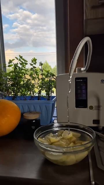 🌐 Https://ВсеИонизаторыВоды.РФ