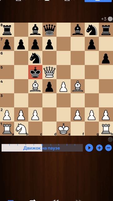 Опровергаю шахматные мифы