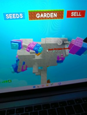 я играю в плейсы и гров э Гарден и получил кенди блусом 💀 я дам всем кенди блусом