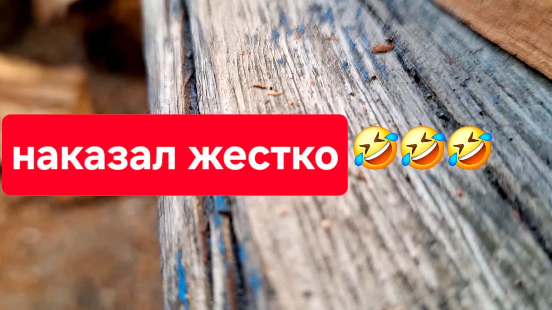 Приводим огород в порядок