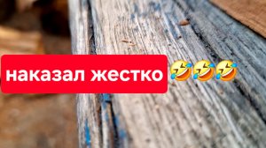 Приводим огород в порядок