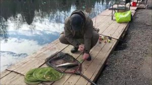 Утро на нижнем водоёме. Клёвое место, Лосиный остров.