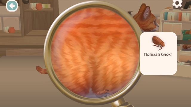 Кошачий приют #3