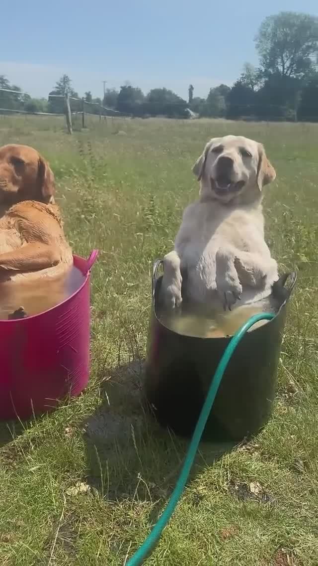 Когда реально невыносимо жарко 🥵