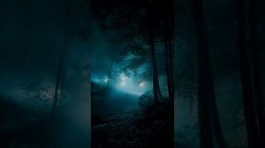 Воспоминания