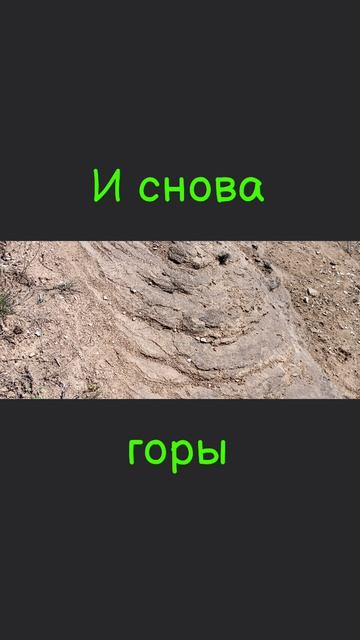 Очередная небольшая прогулка по горе и как такое не сфотографировать 😎 Верно, надо фотографировать,