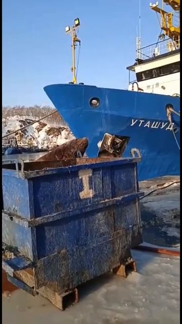 КАМЧАТСКИЙ СИВУЧ
#СИВУЧ