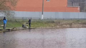 Светлые Горы Форель22 18.04.2026г.