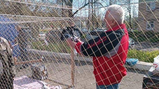 Ярмарка голубей г Красный Луч 18 04 26 г.