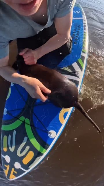 Малой катается на сапборде😅👍