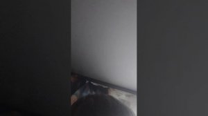 раскрашиваю