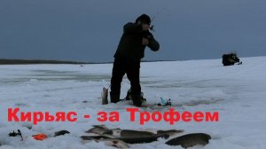 На Кирьяс за Трофеями ... все только начинается.