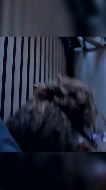 🍿 Я отчаянно пыталась сбежать