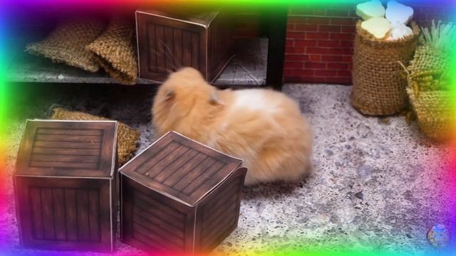 ⚡ Самые быстрые хомяки в истории, Сборник безумных испытаний в лабиринте! серия 3