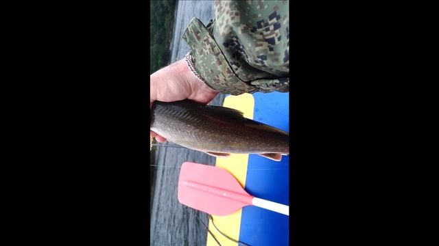 Рыбалка на камчатской реке Быстрая, часть 6