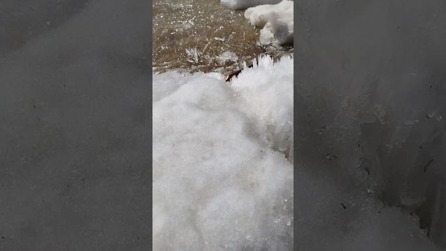 Шторм на Амуре