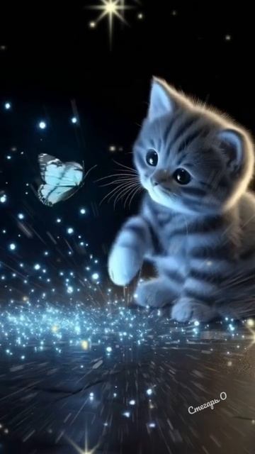 Добрый вечер