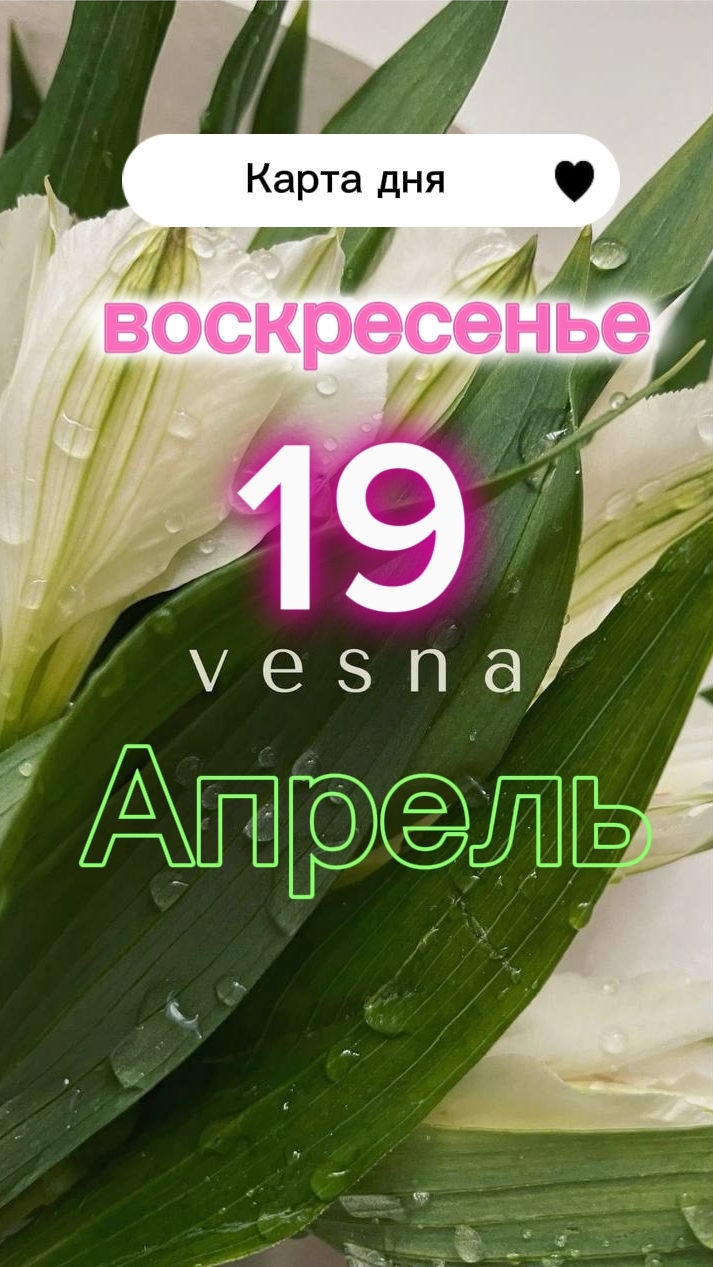 🤪👑Шут. Карта дня на 19-04-2026. Воскресенье