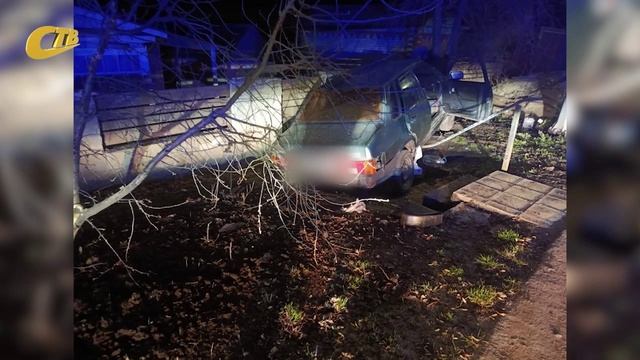 В ЖЕЛЕЗНОГОРСКЕ ЖЕНЩИНА-ВОДИТЕЛЬ БЕЗ ПРАВ ВРЕЗАЛАСЬ НОЧЬЮ В ДЕРЕВО