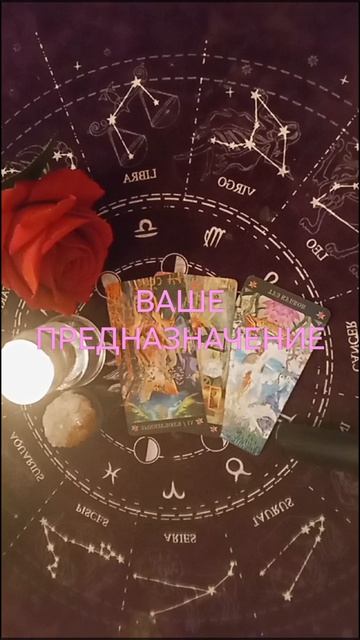 ВАШЕ ПРЕДНАЗНАЧЕНИЕ НА СЕЙЧАС