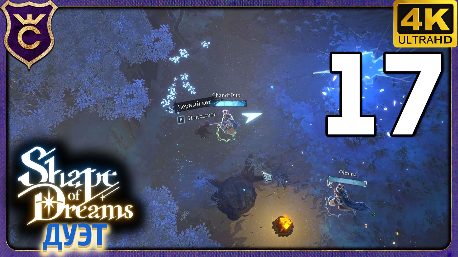 СОБАКИ НАШЛИ КОТА! 17 Shape Of Dreams Дуэт