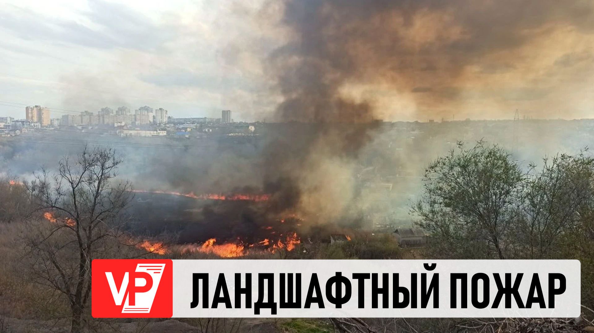 В ВОЛГОГРАДЕ ЛИКВИДИРУЮТ КРУПНЫЙ ПОЖАР В ПОЙМЕ РЕКИ ПИОНЕРКИ