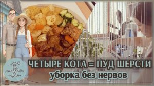 🏡 4 кота на 33 кв.м  и моя битва с шерстью, чем помогаю себе в уборке #17