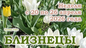 БЛИЗНЕЦЫ | ТАРО прогноз на неделю с 20 по 26 апреля 2026 года