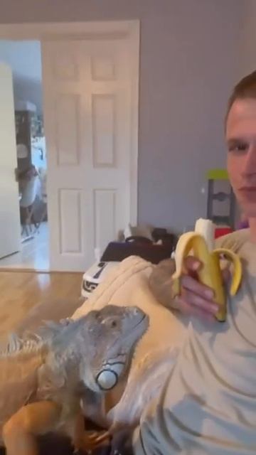 VID_20260417_131645_773.mp4