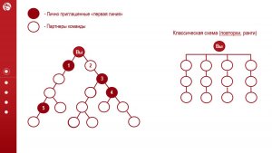 Whieda рекомендации. Полный разбор вариантов.