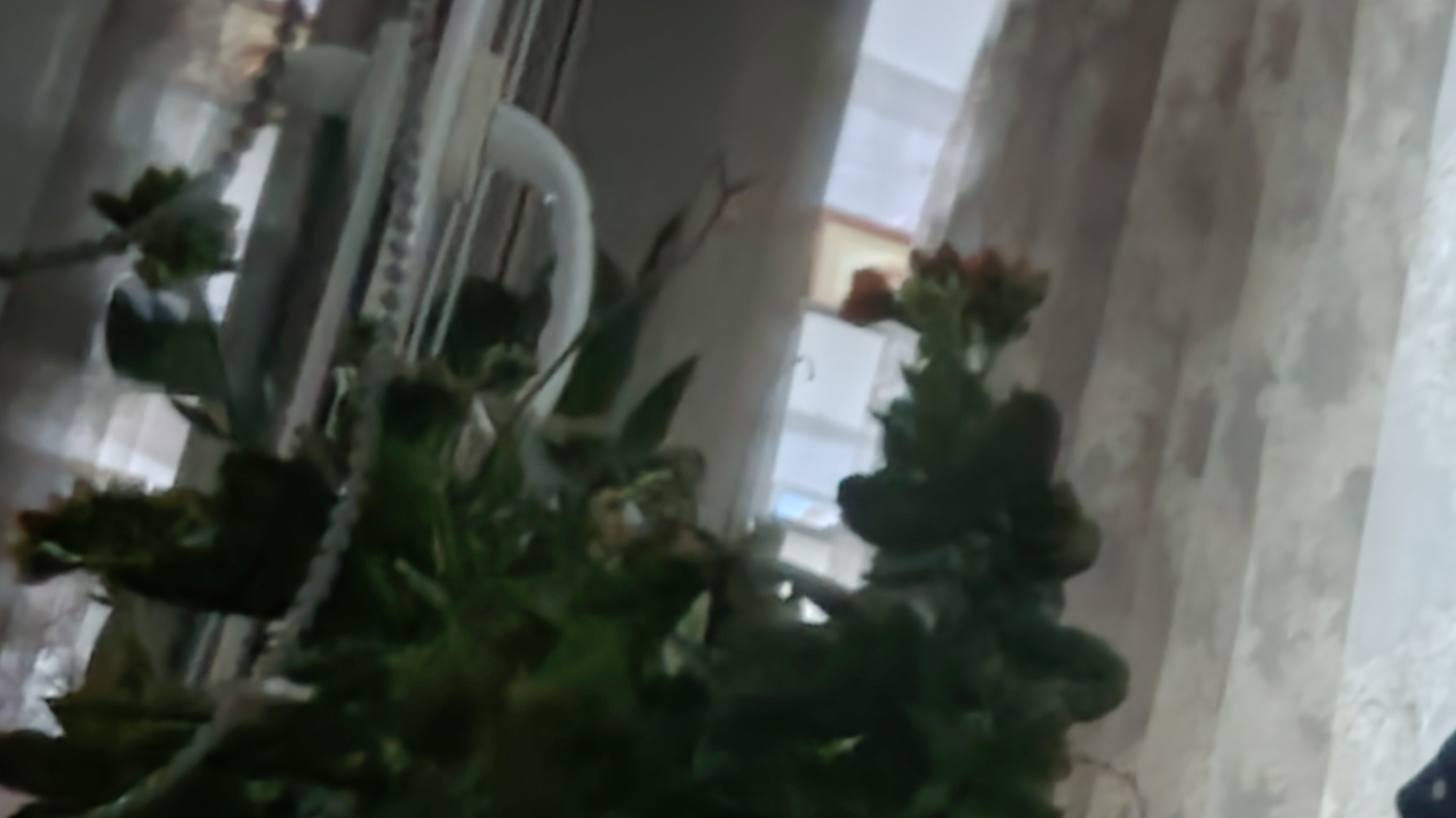 как счастливо вечер в деревне сколько радости и тепла