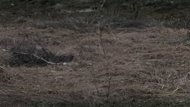 18.04.2026.Ляховский край.Уно-Моменто!25/7/365. Губернаторский. Ляхово TиVи. Усадьба Парк Кинематогр