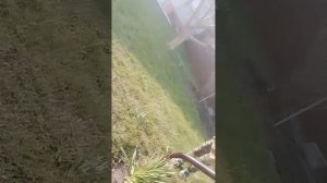 Я был в гостях у Артёма вторая часть!!!!!