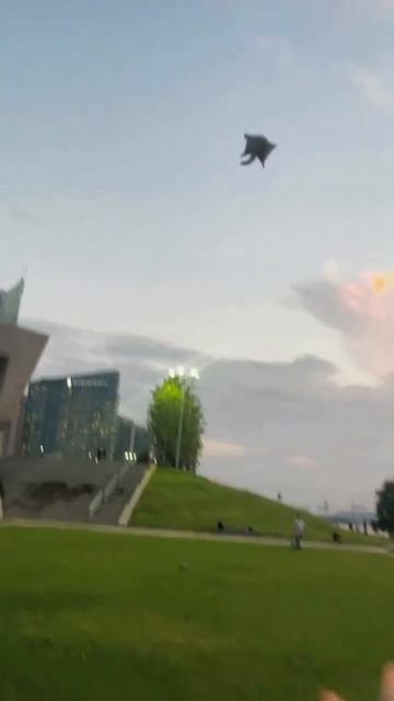 VID_20260417_132158_207.mp4