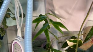 Хойи. Обзор одной из локаций.