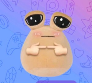 щгрвнлводощв