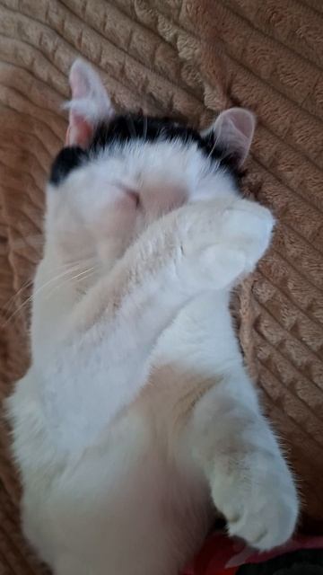 На это можно смотреть вечно