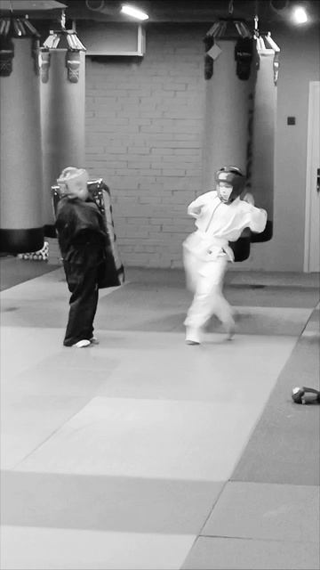 Феникс тренировочный день