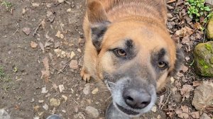 Тревожное утро, внезапное солнце и прогулка налегке